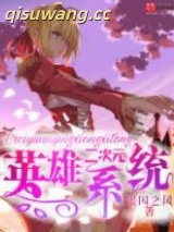 《二次元英雄系统》全本TXT下载-作者：银闪之风
