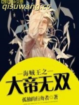 海贼王之大帝无双图片