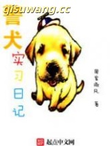 警犬实习日记图片