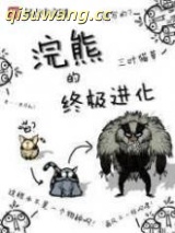 浣熊的终极进化图片
