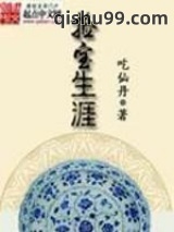 《捡宝生涯》全本TXT下载-作者：吃仙丹