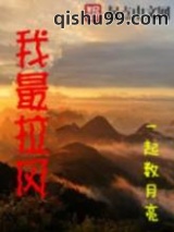 《我最拉风》全本TXT下载-作者：一起数月亮