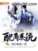 完美配角系统图片