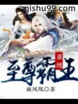 至尊霸王系统图片