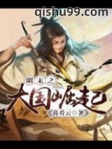 明末之大国崛起图片