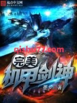 《完美机甲剑神》全本TXT下载-作者：墨乡