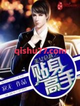 《美女总裁之贴身高手》全本TXT下载-作者：寂无