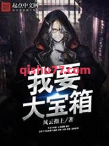 《我要大宝箱》全本TXT下载-作者：风云指上