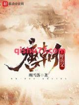 《唐朝好岳父》全本TXT下载-作者：断雪落