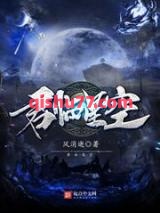 《君临星空》全本TXT下载-作者：风消逝