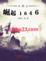 《大明之崛起1646》全本TXT下载-作者：天海山