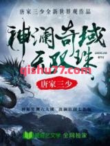 神澜奇域无双珠图片