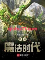 《我的魔法时代》全本TXT下载-作者：海逸小猪