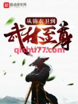 从锦衣卫到武林至尊图片