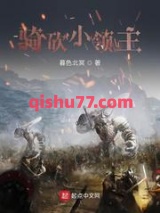 《骑砍小领主》全本TXT下载-作者：暮色北冥