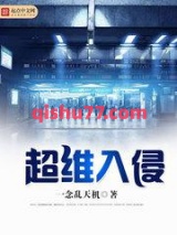 超维入侵小说