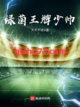 绿茵王牌少帅图片