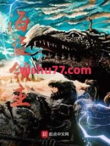 海盗领主图片