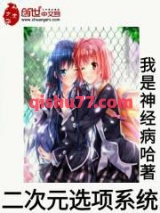 二次元选项系统图片