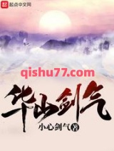 华山剑气图片