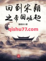 回到宋朝之帝国崛起图片