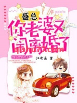盛总，你老婆又闹离婚了图片