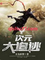 次元大追逃图片