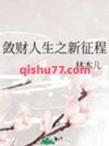 《敛财人生之新征程》全本TXT下载-作者：林木儿
