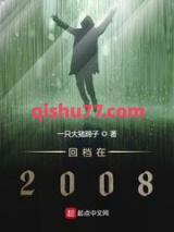 回档在2008图片
