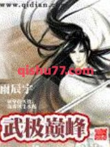 《武极巅峰》全本TXT下载-作者：雨辰宇