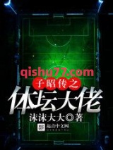 子昭传之体坛大佬图片