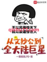 从文抄公到全大陆巨星图片