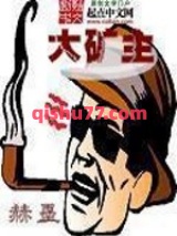 大矿主图片