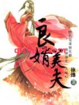 良婿美夫图片