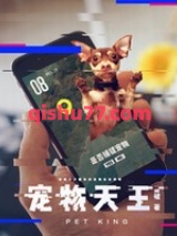 宠物天王图片