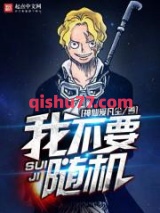 随机从海贼开始图片