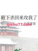 殿下杀回来攻我了图片