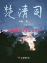 楚清司图片
