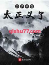 《公子实在太正义了》全本TXT下载-作者：李鸿天