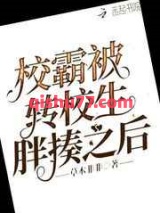 校霸被转校生胖揍之后图片