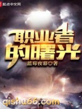 《职业者的曙光》全本TXT下载-作者：蓝莓夜幕
