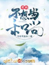 老衲不想当和尚小说