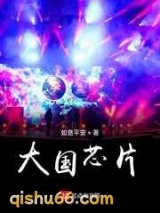 大国芯片图片