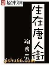 《生在唐人街》全本TXT下载-作者：陶良辰