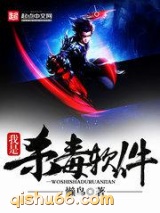 《我是杀毒软件》全本TXT下载-作者：懒鸟