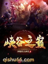 峡谷之巅图片