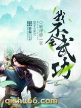 《我不会武功》全本TXT下载-作者：轻浮你一笑