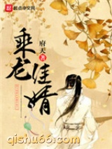 《乘龙佳婿》全本TXT下载-作者：府天