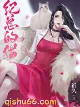 纪总的猫图片