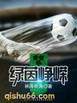 《绿茵峥嵘》全本TXT下载-作者：林海听涛